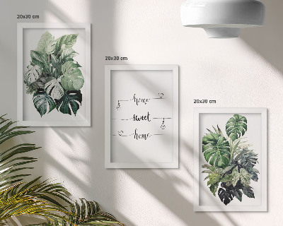 Set van ingelijste schilderijen Aquarel Monstera verlaat het fijne thuis