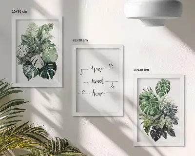 Set van ingelijste schilderijen met aquarel van monstera-bladeren