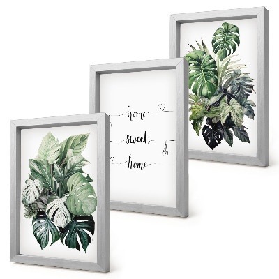 Set van ingelijste schilderijen Aquarel Monstera verlaat het fijne thuis