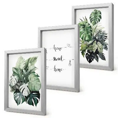 Set van ingelijste schilderijen met aquarel van monstera-bladeren
