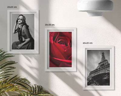 Set van ingelijste schilderijen Parijse vrouw met roze bril en de Eiffeltoren