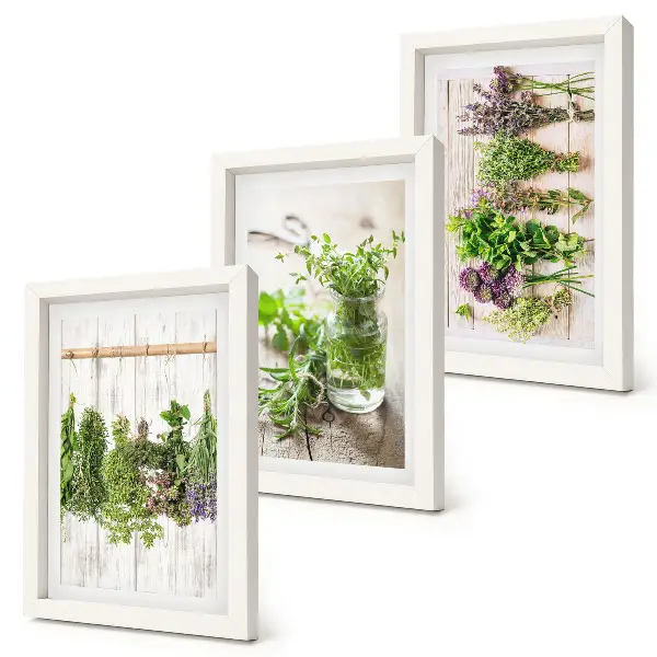 Set van ingelijste schilderijen met kruiden en planten voor in de keuken
