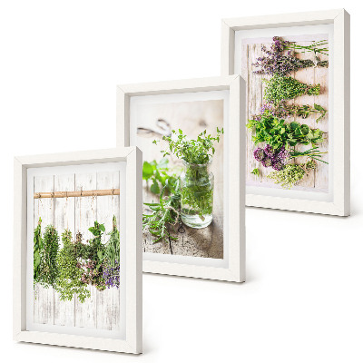 Set van ingelijste schilderijen Kruiden en planten drogen voor de keuken