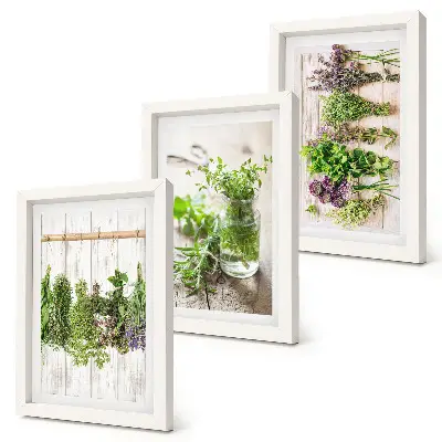 Set van ingelijste schilderijen met kruiden en planten voor in de keuken