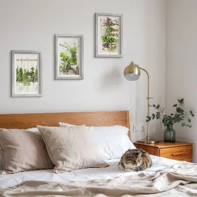 Set van ingelijste schilderijen met kruiden en planten voor in de keuken