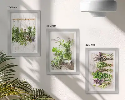 Set van ingelijste schilderijen met kruiden en planten voor in de keuken