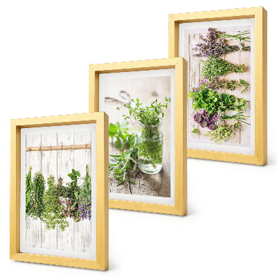 Set van ingelijste schilderijen Kruiden en planten drogen voor de keuken