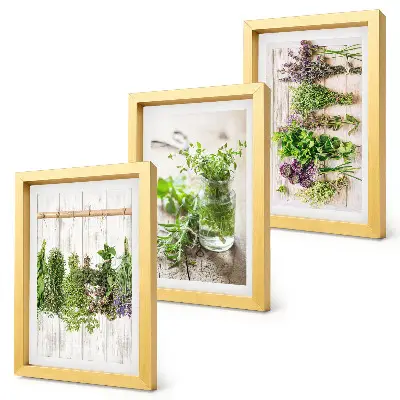 Set van ingelijste schilderijen met kruiden en planten voor in de keuken