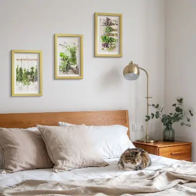 Set van ingelijste schilderijen met kruiden en planten voor in de keuken