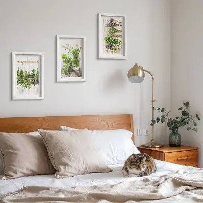 Set van ingelijste schilderijen met kruiden en planten voor in de keuken