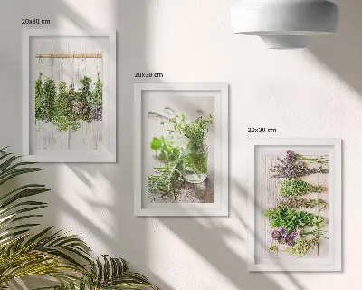 Set van ingelijste schilderijen met kruiden en planten voor in de keuken