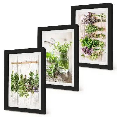 Set van ingelijste schilderijen met kruiden en planten voor in de keuken