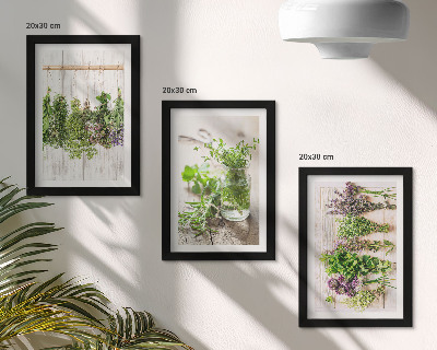 Set van ingelijste schilderijen Kruiden en planten drogen voor de keuken