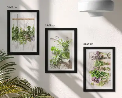 Set van ingelijste schilderijen met kruiden en planten voor in de keuken