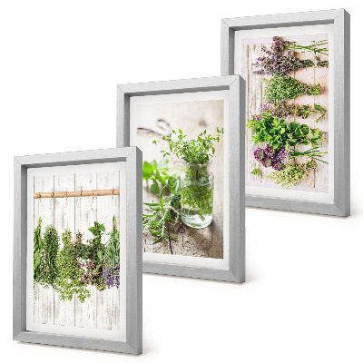 Set van ingelijste schilderijen Kruiden en planten drogen voor de keuken