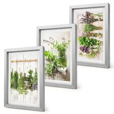 Set van ingelijste schilderijen met kruiden en planten voor in de keuken