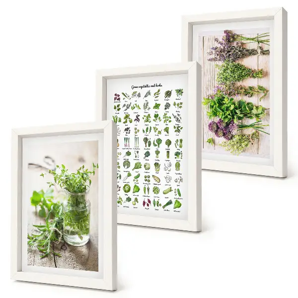 Set van ingelijste schilderijen met gedroogde planten voor in de keuken