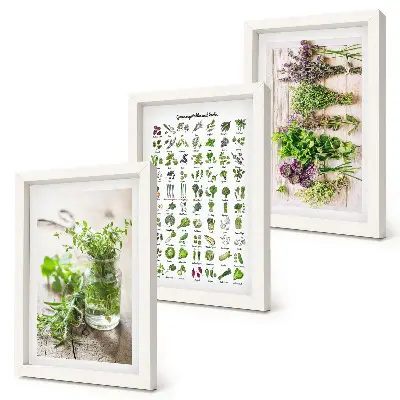 Set van ingelijste schilderijen met gedroogde planten voor in de keuken