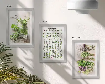 Set van ingelijste schilderijen met gedroogde planten voor in de keuken