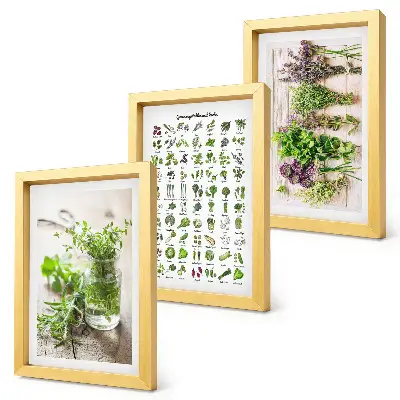 Set van ingelijste schilderijen met gedroogde planten voor in de keuken