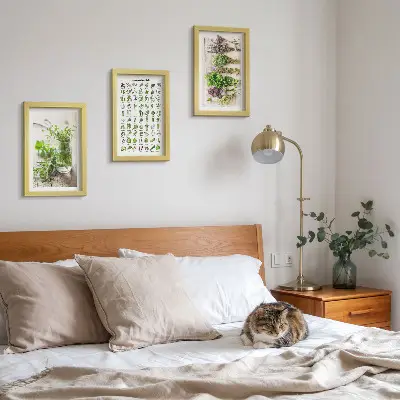 Set van ingelijste schilderijen met gedroogde planten voor in de keuken