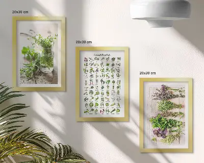 Set van ingelijste schilderijen met gedroogde planten voor in de keuken