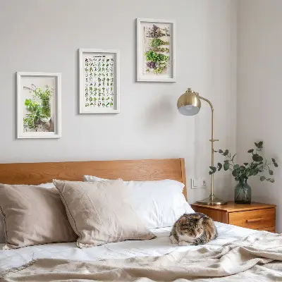 Set van ingelijste schilderijen met gedroogde planten voor in de keuken