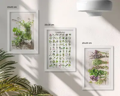 Set van ingelijste schilderijen met gedroogde planten voor in de keuken