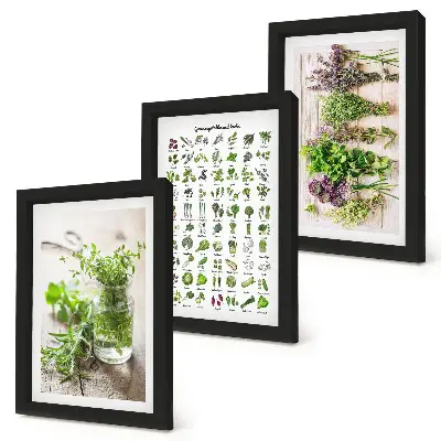 Set van ingelijste schilderijen met gedroogde planten voor in de keuken