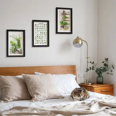 Set van ingelijste schilderijen met gedroogde planten voor in de keuken