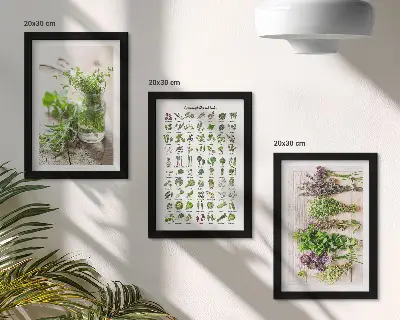 Set van ingelijste schilderijen met gedroogde planten voor in de keuken