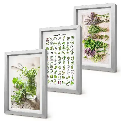Set van ingelijste schilderijen met gedroogde planten voor in de keuken