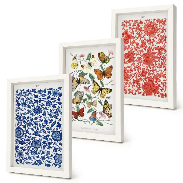 Set van ingelijste schilderijen met vintage posters van bloemen, vlinders en ornamenten