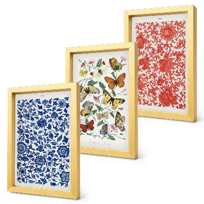 Set van ingelijste schilderijen met vintage posters van bloemen, vlinders en ornamenten