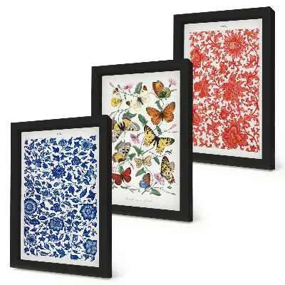 Set van ingelijste schilderijen met vintage posters van bloemen, vlinders en ornamenten