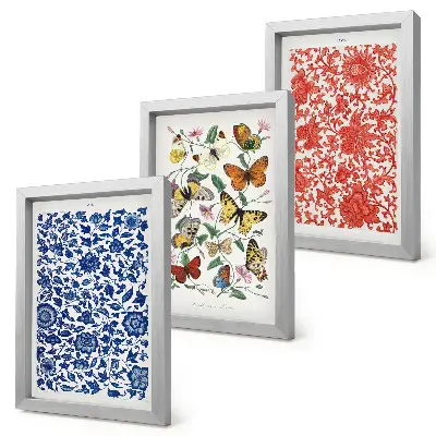 Set van ingelijste schilderijen met vintage posters van bloemen, vlinders en ornamenten