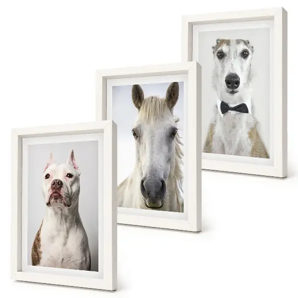 Set van ingelijste schilderijen met interessante portretten van honden en paarden in een elegante stijl