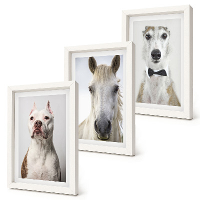 Set van ingelijste schilderijen Interessante portretten van honden en paarden in een elegante stijl.