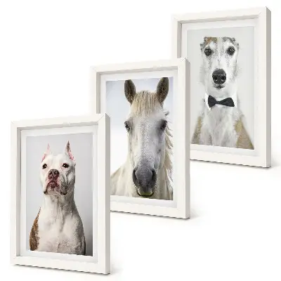 Set van ingelijste schilderijen met interessante portretten van honden en paarden in een elegante stijl