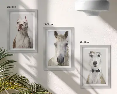 Set van ingelijste schilderijen met interessante portretten van honden en paarden in een elegante stijl