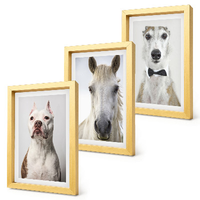 Set van ingelijste schilderijen Interessante portretten van honden en paarden in een elegante stijl.