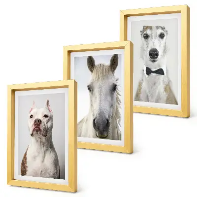 Set van ingelijste schilderijen met interessante portretten van honden en paarden in een elegante stijl
