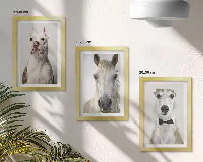 Set van ingelijste schilderijen met interessante portretten van honden en paarden in een elegante stijl