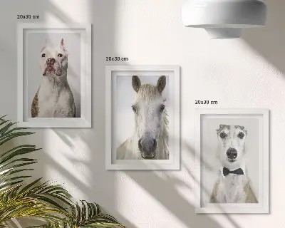 Set van ingelijste schilderijen met interessante portretten van honden en paarden in een elegante stijl