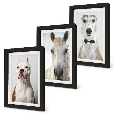 Set van ingelijste schilderijen Interessante portretten van honden en paarden in een elegante stijl.