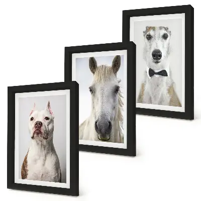 Set van ingelijste schilderijen met interessante portretten van honden en paarden in een elegante stijl