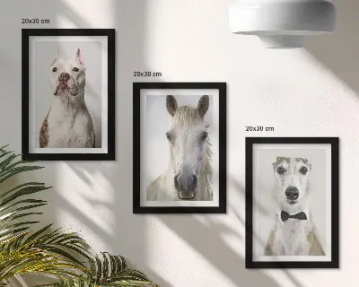Set van ingelijste schilderijen met interessante portretten van honden en paarden in een elegante stijl
