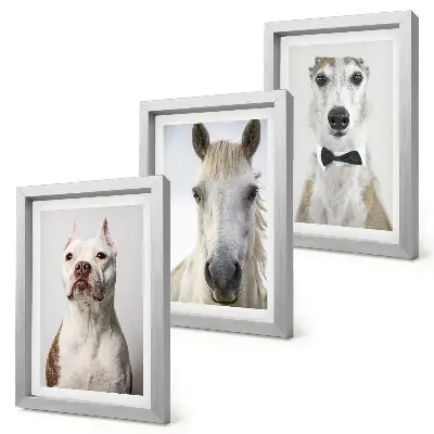 Set van ingelijste schilderijen met interessante portretten van honden en paarden in een elegante stijl