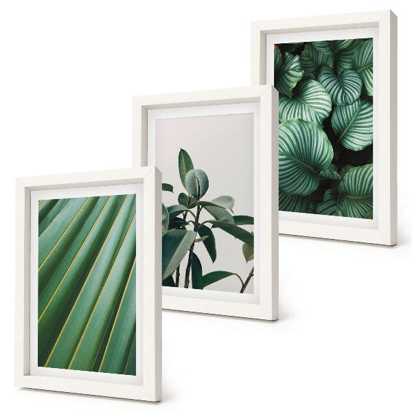 Gallery wall Esthetische tropische bladeren in diverse groene tinten