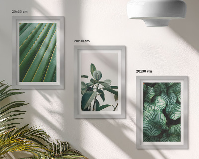 Gallery wall Esthetische tropische bladeren in diverse groene tinten